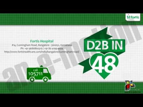 Infographic Animation Video