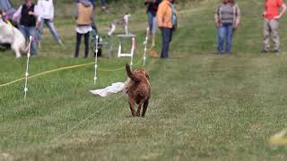 Sprinter Trial North Gower September 2018