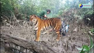 lagu paser SEMPURI DATU NALAU 😀😀(cerita datu dan nalau)