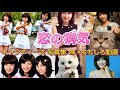 キャンディーズ 写真集 28 +おもしろ動画 恋の病気(キャンディーズ) Candies Photos 28