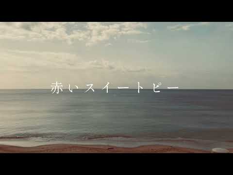 赤いスイートピー／松田聖子《弾き語りカバー》
