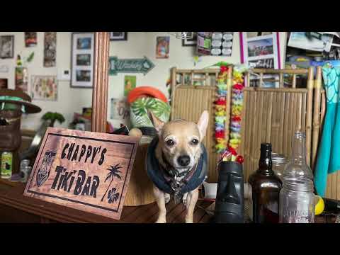 Habanero Surf n Turf Fajitas #tacotuesday