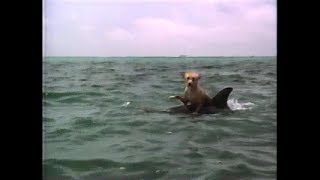 Zeus & Roxanne Movie TV Spot (1997) Steve Guttenberg