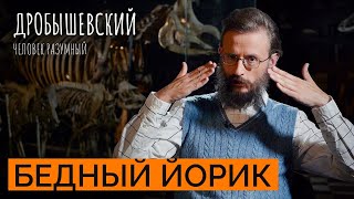 Эволюцию черепа: от первых обезьян до современного человека // Дробышевский. Человек разумный