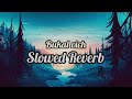 Bukal vich Slowed Reverb Song Geeta zaildar #slowedandreverb #lofi #punjabi