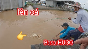 Câu cá vồ đém làng bè Bình Thạnh | Fishing |Săn Bắt Mái Dầm