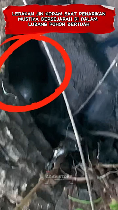 EXPLOSION OF JIN KHODAM DURING THE REMOVAL OF HISTORIC MUSTIKA FROM THE HOLE OF THE WITCHFUL TREE...