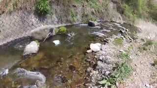 20150503-02　千曲川水系相木川