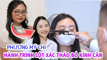Phương Mỹ Chi 