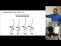 Sagittal Balance and Parameters - David O. Okonkwo, MD, PhD