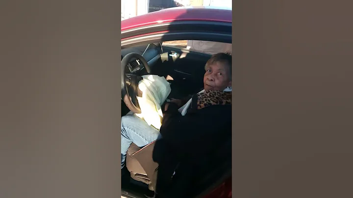 Lorene Robinson hit my minivan pt 2