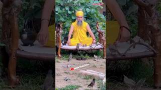 sab jot teri jagjeevana #nature #birds #santbabadarshansinghji #tapobandhakkisahib