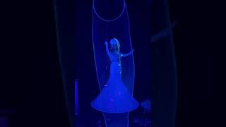 Premier at Flippo's! Magocal Neon Bubble Show!