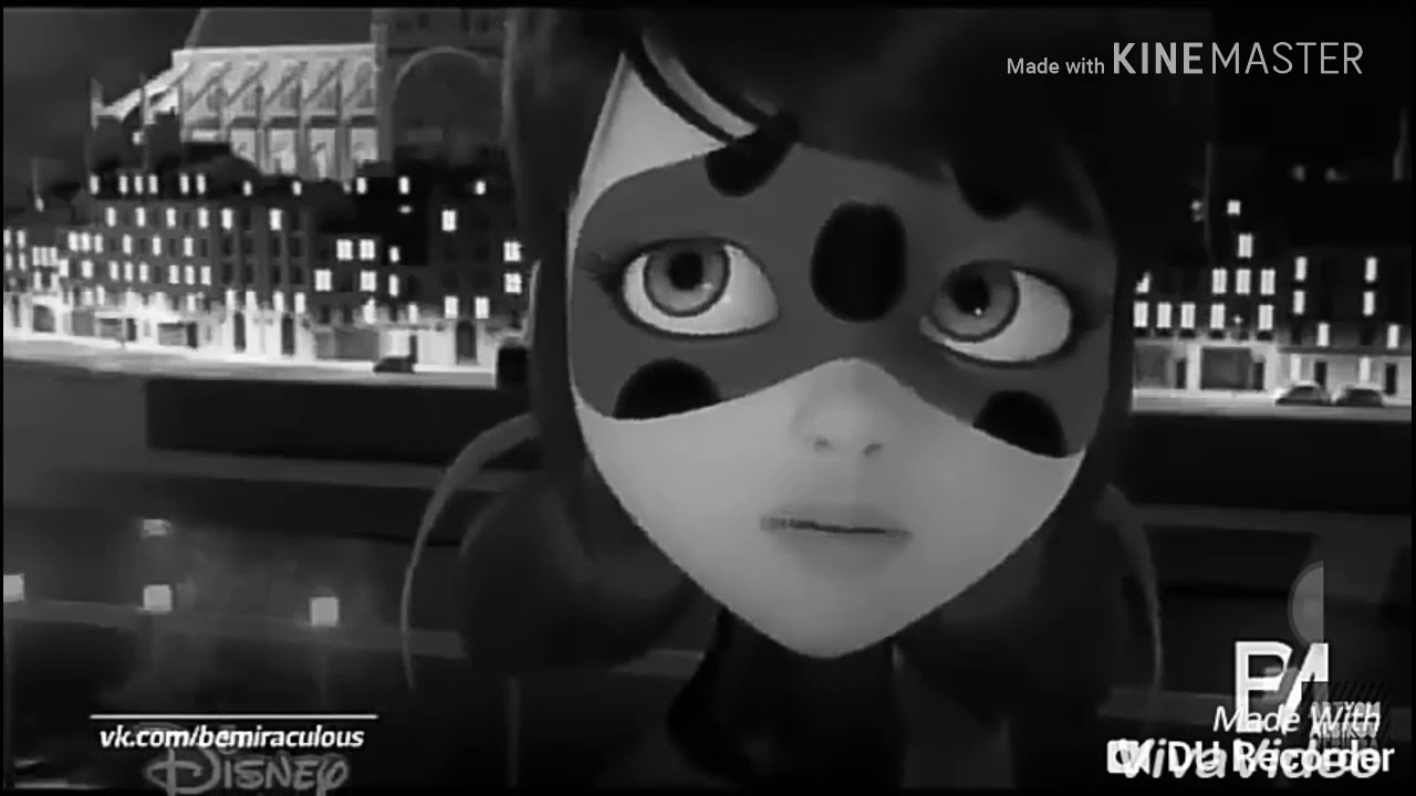 Леди баг и супер кот :— Мне страшно любить тебя