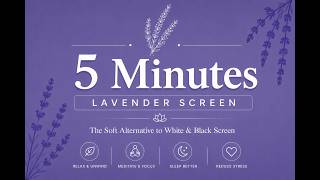 REAL Lavender Screen 4K | 5 Minutes | The Alternative to White &amp; Black Screen | Relax | Screen Test
