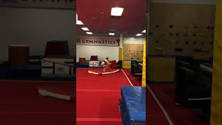 Sarah Saville 2024 Double Arabian on Floor