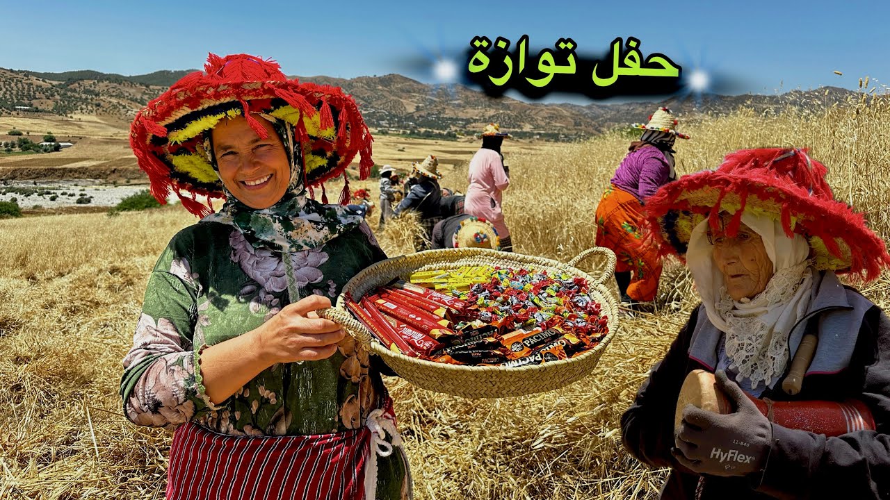 توازة عند جبالة ، نساء القرية يحولون حصاد القمح إلى احتفال