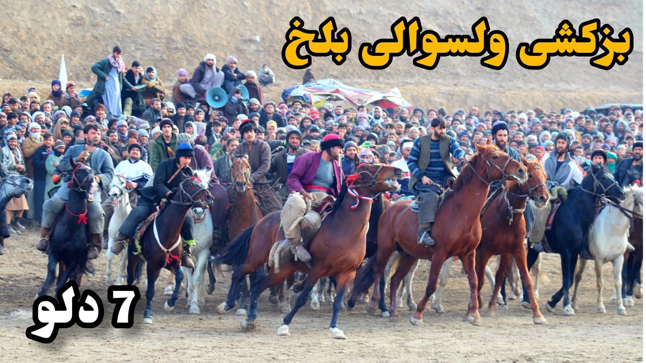 جالبترین مسابقه بزکشی در ولسوالی بلخ با اشتراک پهلوانان از مرکز ولایت بلخ با درخشش عالی پهلوانان 