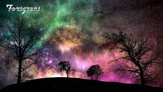 Dancing with the Aurora Spirits
