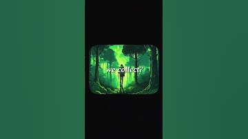 Find joy in simplicity and minimalism.