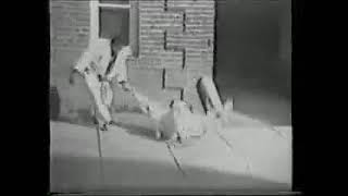 03   Tokio Hirano   Te Waza   Kata Guruma