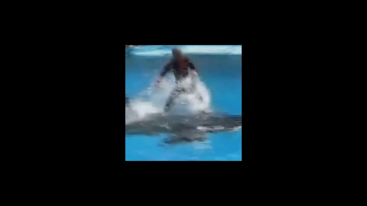 Orca Attacked Its Trainer