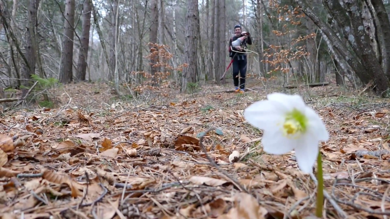 Montusel - Alpi Carniche Orientali 10/03/2018