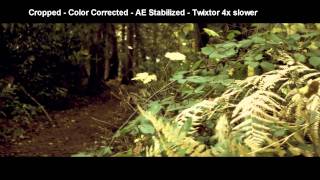 Test Video Shot with T2i/550d | Twixtor After Effects Stabilizer and Technicolor Cinestyle