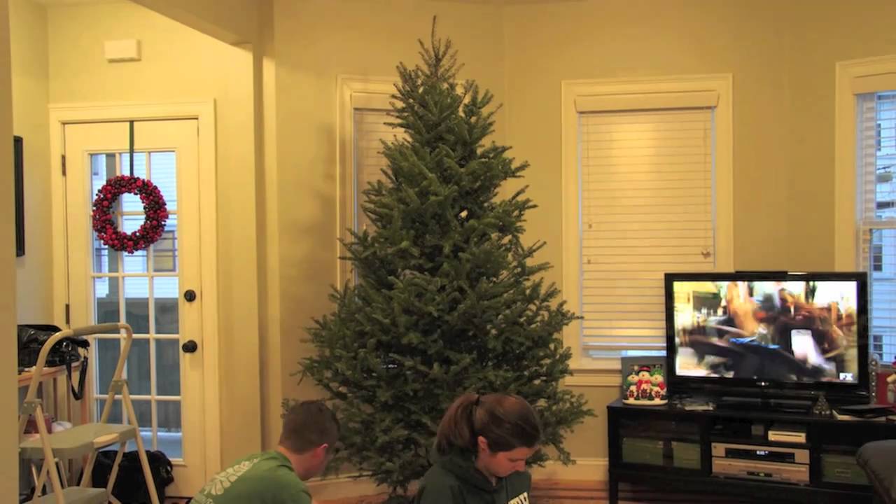 2011 christmas tree takedown YouTube
