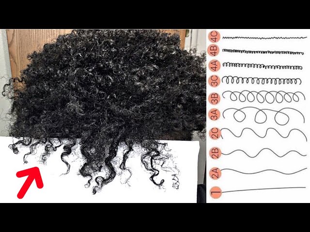 Find Out Your Hair Type NOW! Everything You Need To Know! - YouTube