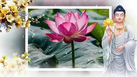 Phật Dạy  Cách Làm Giàu Có Đức Mặc Sức Mà Ăn, Phúc Báo Tự Tìm Đến