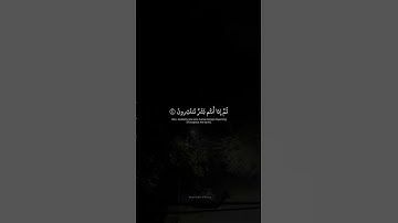 وَمِن آياتِهِ أَن خَلَقَكُم مِن تُرابٍ | محمد صديق المنشاوي | سورة الروم#قرآن