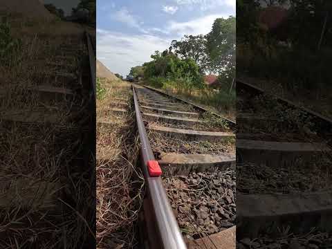 Train VS Lifebuoy Soup