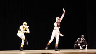 WMU NPHC 2016 Step Show Alpha Phi Alpha
