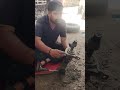 गाड़ी के अंदर आ रही थी अजीब गुंज की आवाज 😱 कस्टमर था परेशान | Mahindra Bolero Pickup की असली प्रॉब्ल