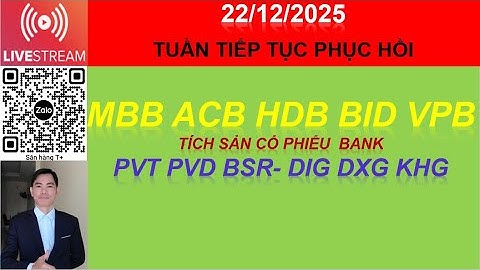 22/12 CỔ PHIẾU MBB ACB HDB BID VPBTÍCH SẢN CỔ PHIẾU  BANK & PVT PVD BSR- DIG DXG KHG