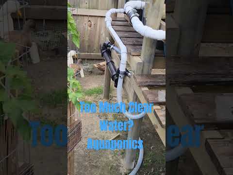 Too Much Filtration?