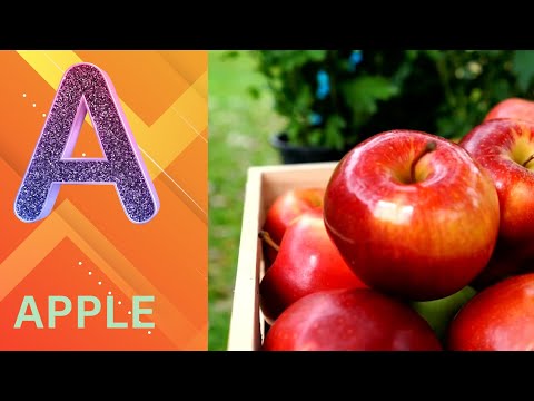 ABCフォニックスの歌 アルファベットの音 幼児向けABC学習 教育ABC童謡 