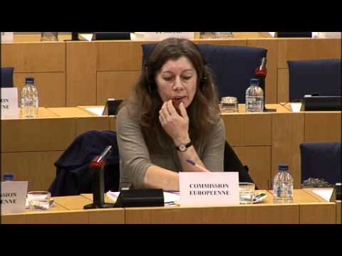 VRT EU Petitions Committee