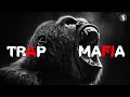 Gangster music 2024 🕵️ Stronger Gangster Rap Mix - Hip Hop & Trap Music 2024