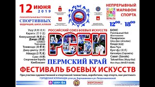 Фестиваль боевых искусств 12 июня 2019 года, Пермь