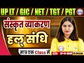 UP LT Grade/GIC/NET Sanskrit Class 2025 | हल् संधि | UP TGT/PGT Sanskrit MCQs