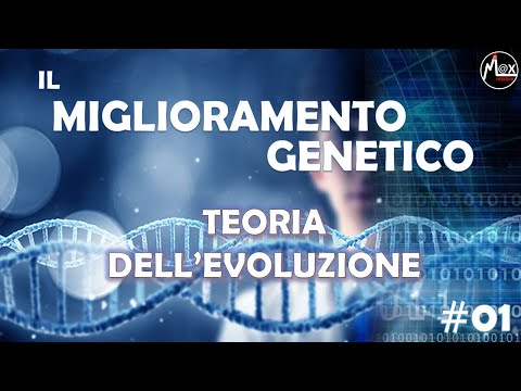 Video: Evoluzione Adattiva E Ingegneria Metabolica Di Un Corynebacterium Glutamicum Negativo Per Cellobiosio E Xilosio Che Co-utilizza Cellobiose E Xilosio