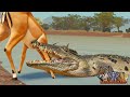 NEW Nile Crocodile Animal Update ROBLOX Savannah Life NEW Nile Crocodile Animal Update ROBLOX Savannah Life