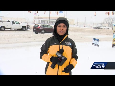 Snowstorm hits Cranberry Township