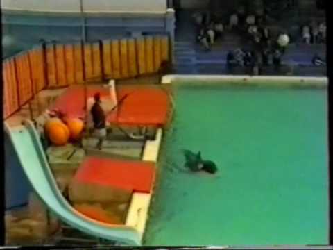 The Nemo Show - Part 1 (Clacton Pier 1983)