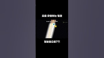 요즘 유행하는 밈 #얼불춤 #adofai #blingbangbangborn