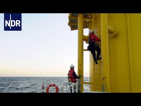 Der Bauernretter - Einsatz auf fremden Höfen | Die Nordreportage | NDR