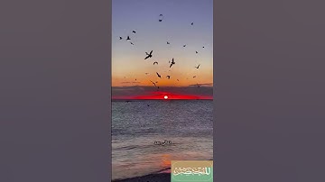 سورة الفاتحة آية رقم 3