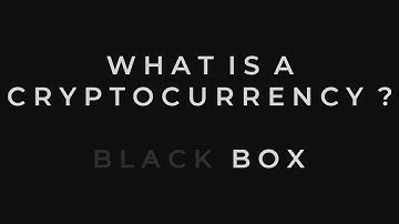 What is a Cryptocurrency? - Black Box Stake Pool [BLKBX]